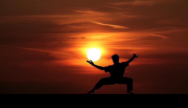 Chen style Tai Chi