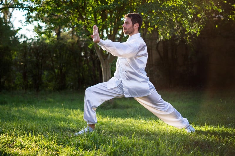 Wu style Tai Chi